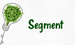 Segment-01