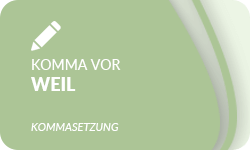 Komma-vor-weil-01